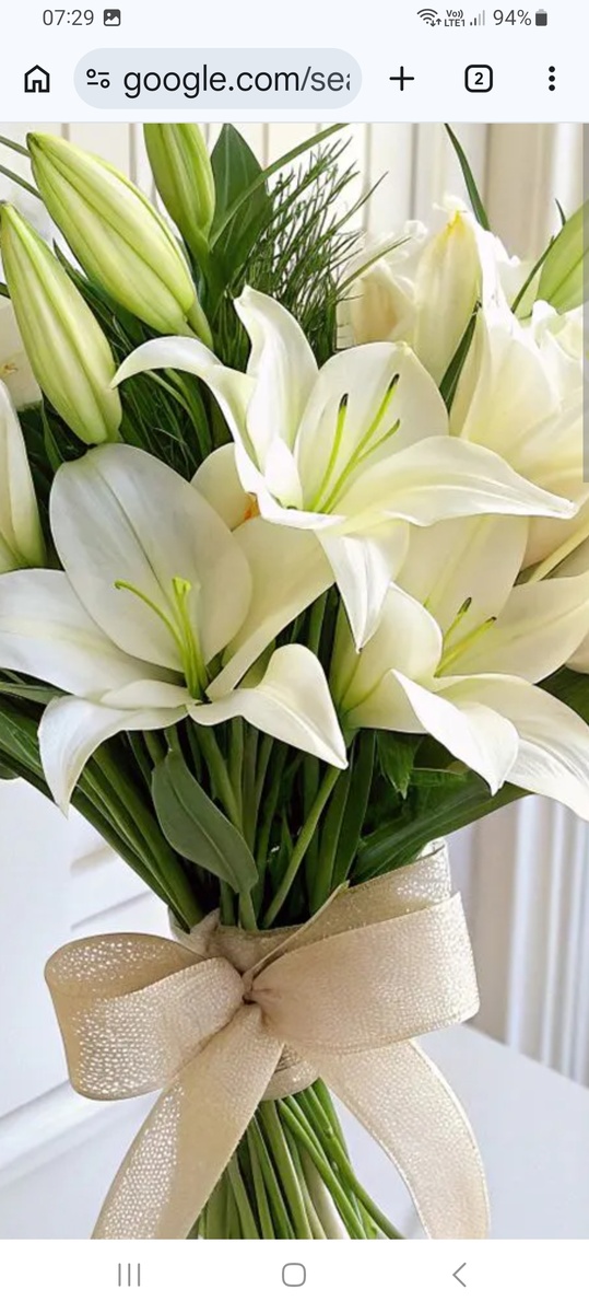 Любимые лилии мамы