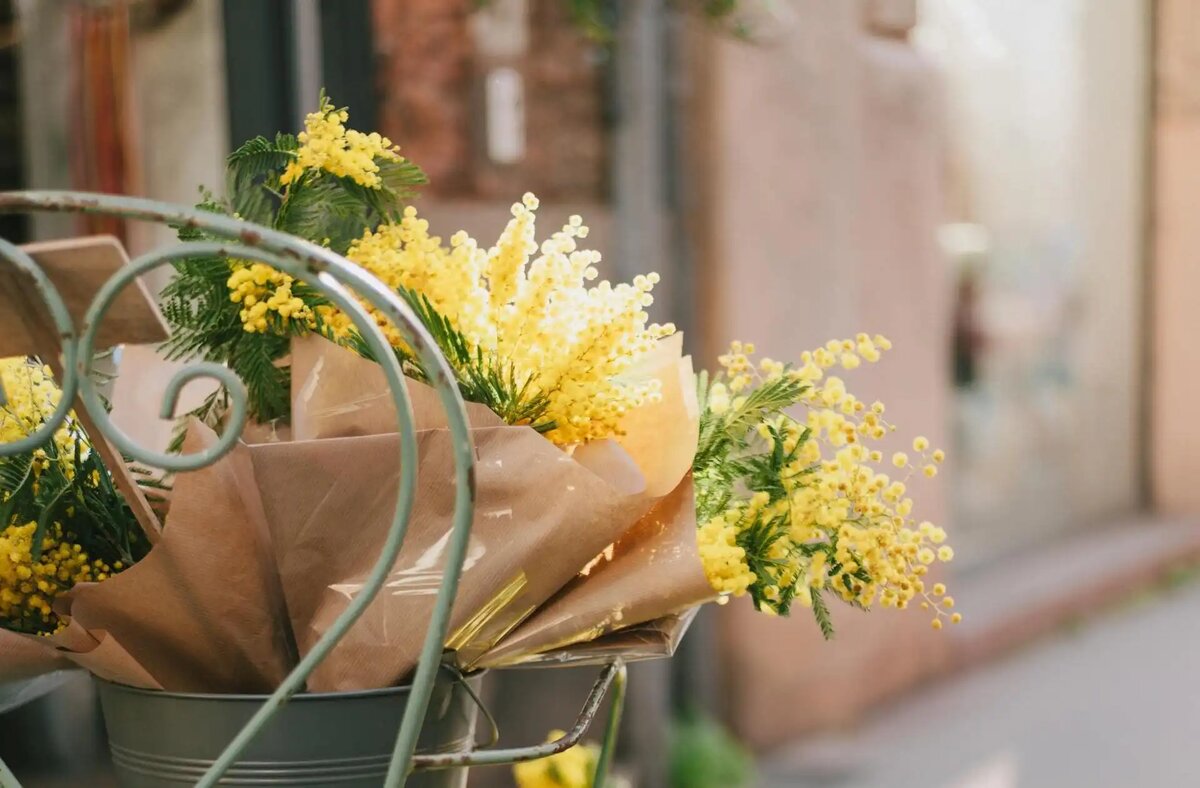 Фото: Harriet B. / www.pexels.com