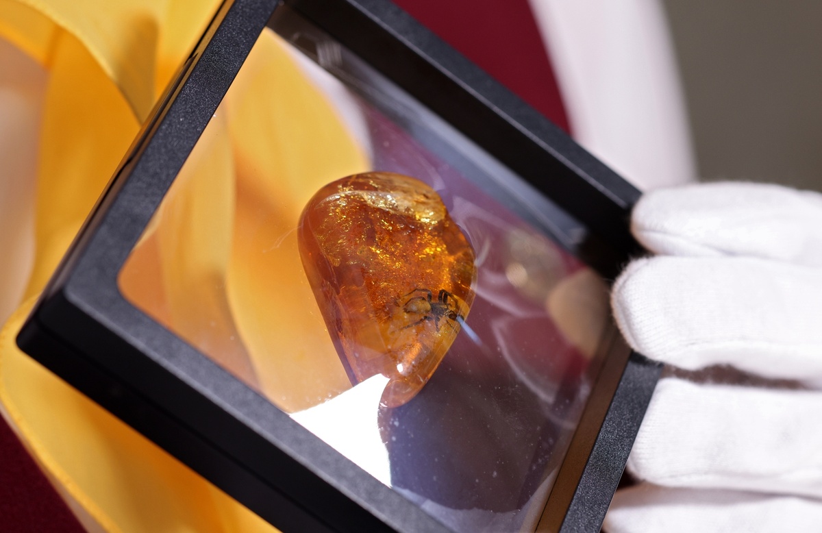    Калининградский янтарь