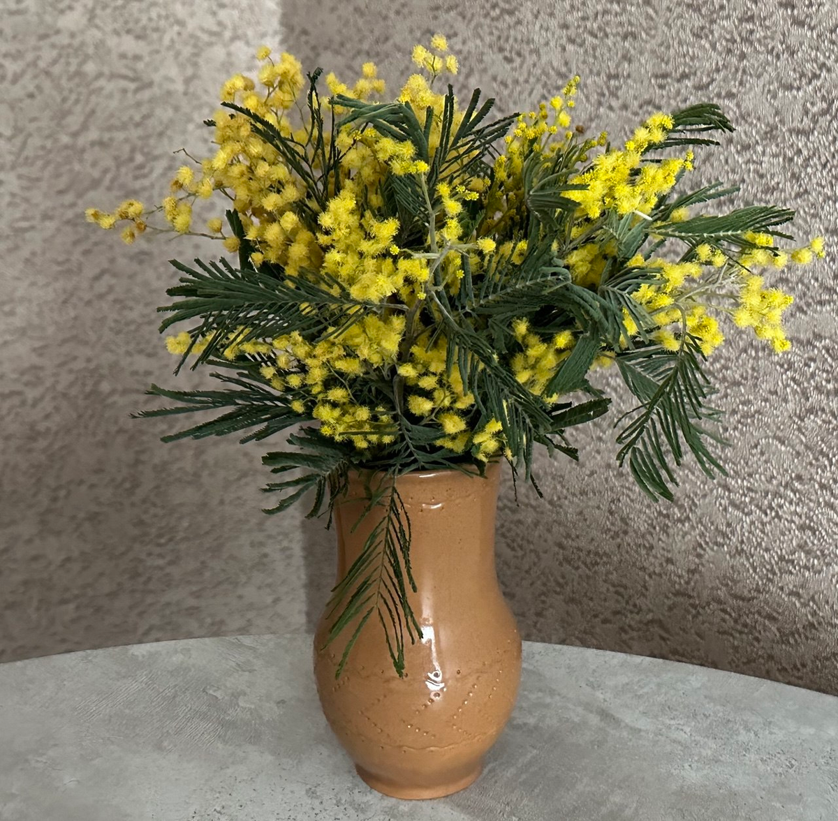 Мимоза. Фото автора