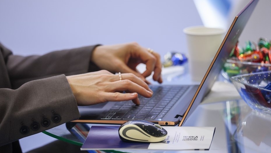    Автор фото: Алексей Белкин/NEWS.ru/ТАСС