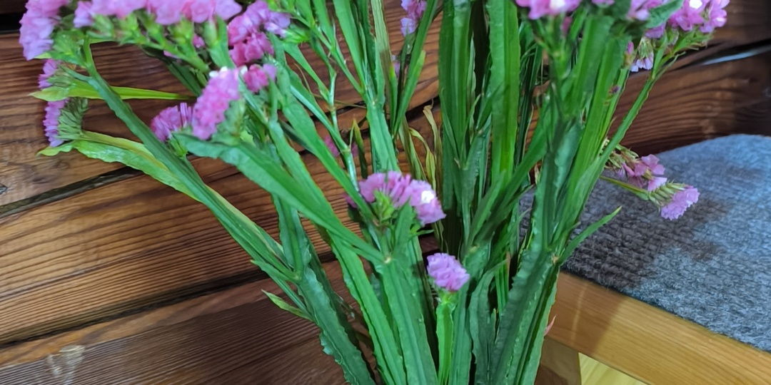 С праздником 🌹🌺🌷