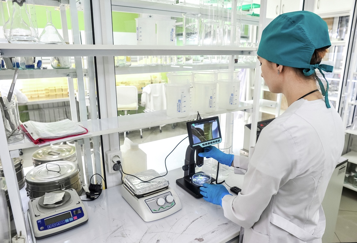    Ученые в лаборатории