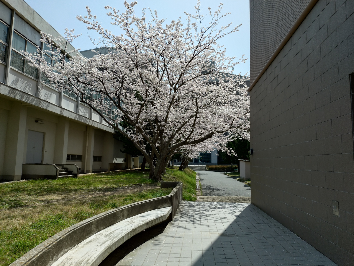 Фото Кадзутора