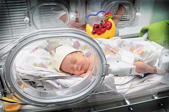    Фото: АиФ/ Эдуад Кудрявицкий