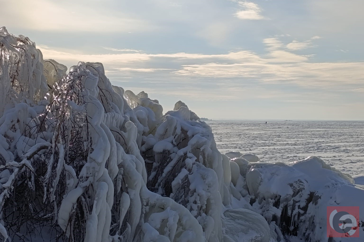    Фото: Прецедент