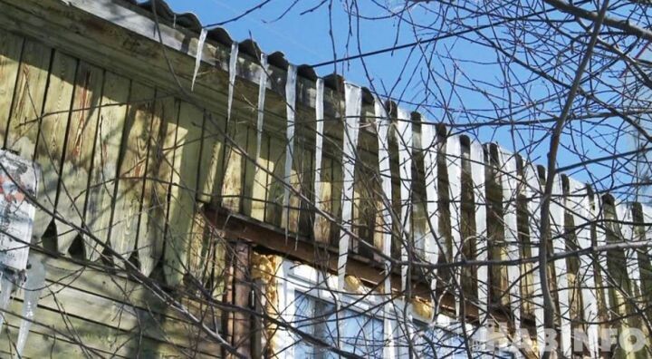    Фото:Дмитрий Волков