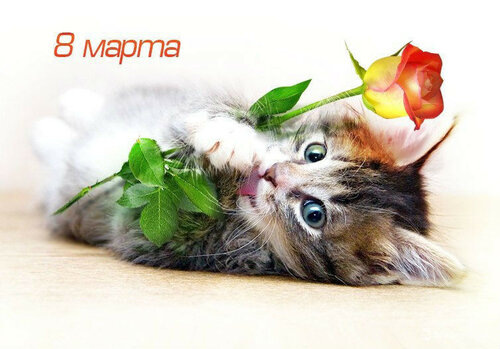 С 8 Марта!