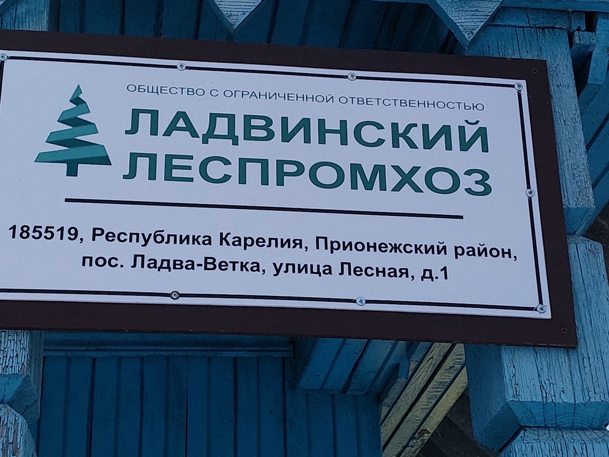    фото: © Ладвинский леспромхоз