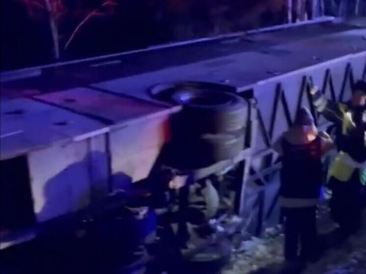     Фото: «МК в Ленобласти».