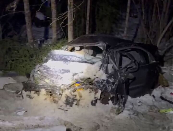     Фото: «МК в Ленобласти».