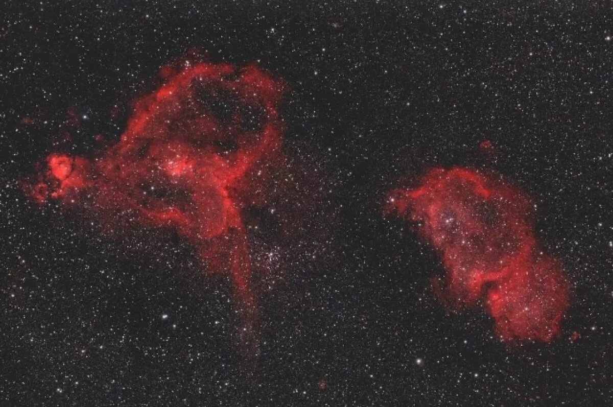    Космос дарит цветы женщинам Хабаровского края