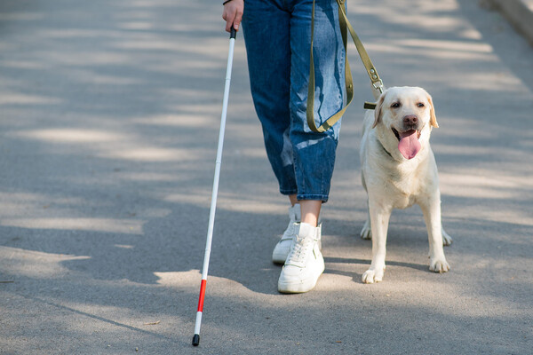 Reshetnikov_art/Shutterstock/FOTODOM   📷