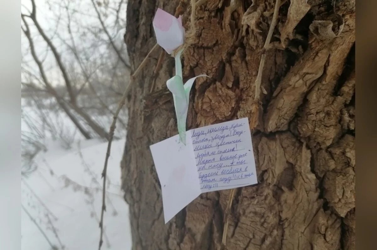    Оренбурженки благодарят неизвестного автора за хорошее настроение.