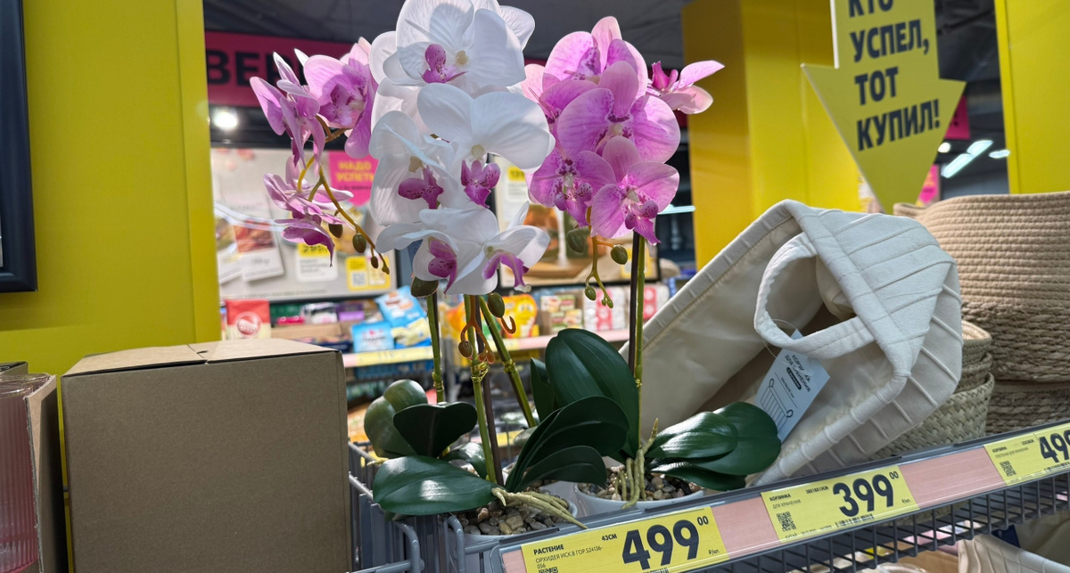    Фото: ПроГород