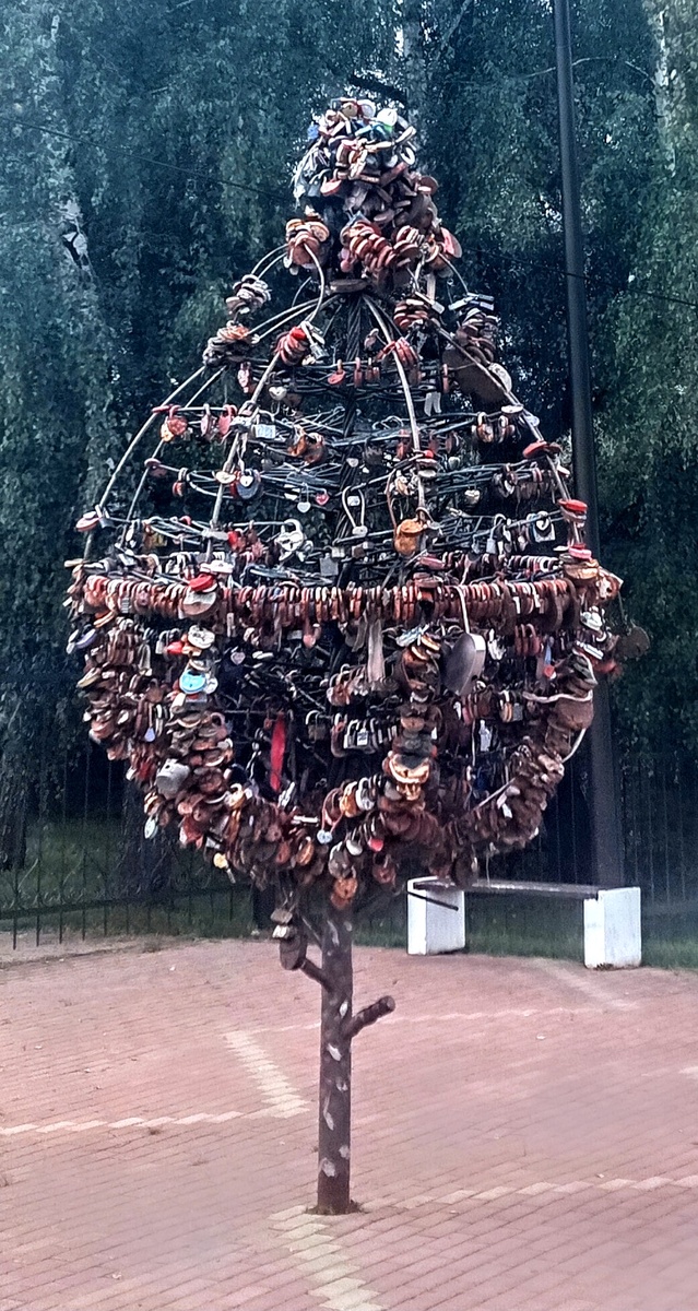 Дерево любви в Наро-Фоминске. Фото автора. 