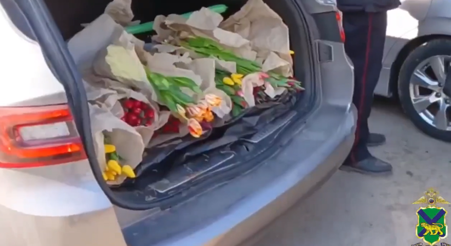    Источник фото: пресс-служба УМВД России по Приморскому краю