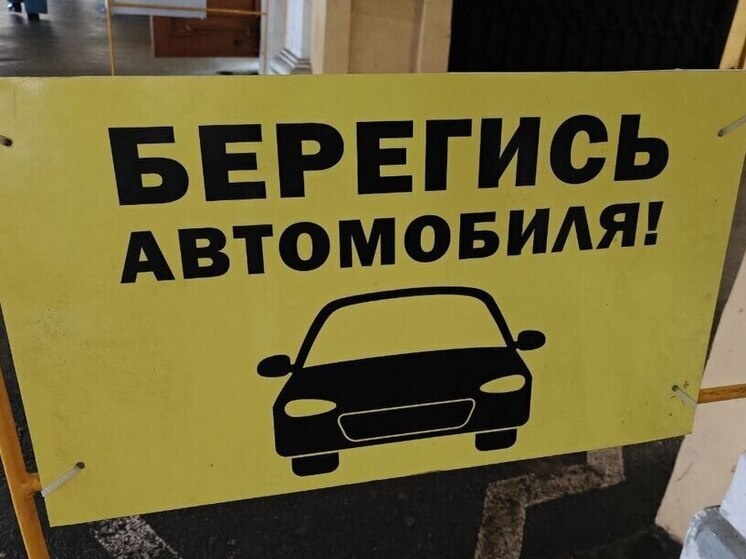     Фото: архив МК в Питере