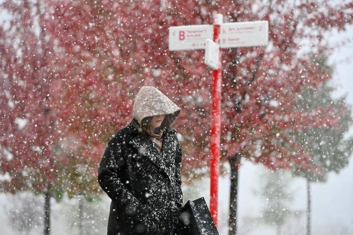 Обложка © Life.ru