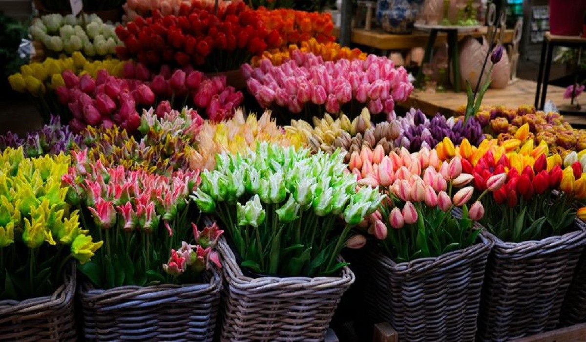    Фото: iStock/mpalis