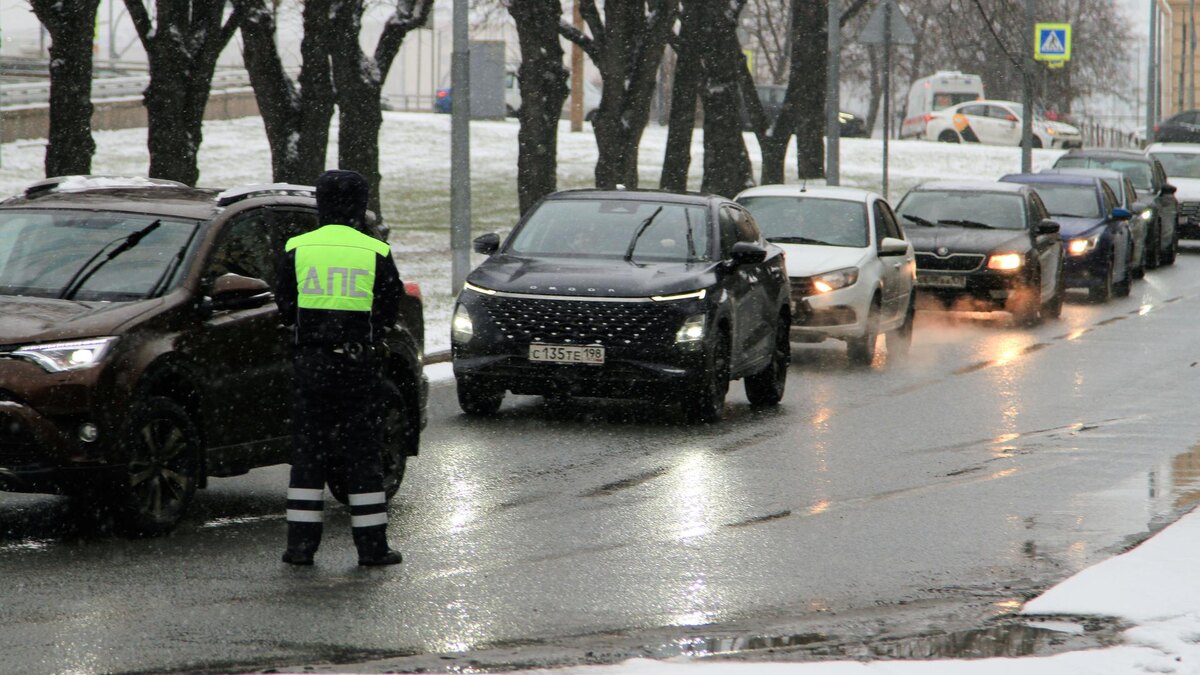    Фото: ИЗВЕСТИЯ/Телеканал «78»