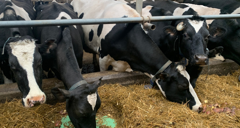    Фото из архива редакции