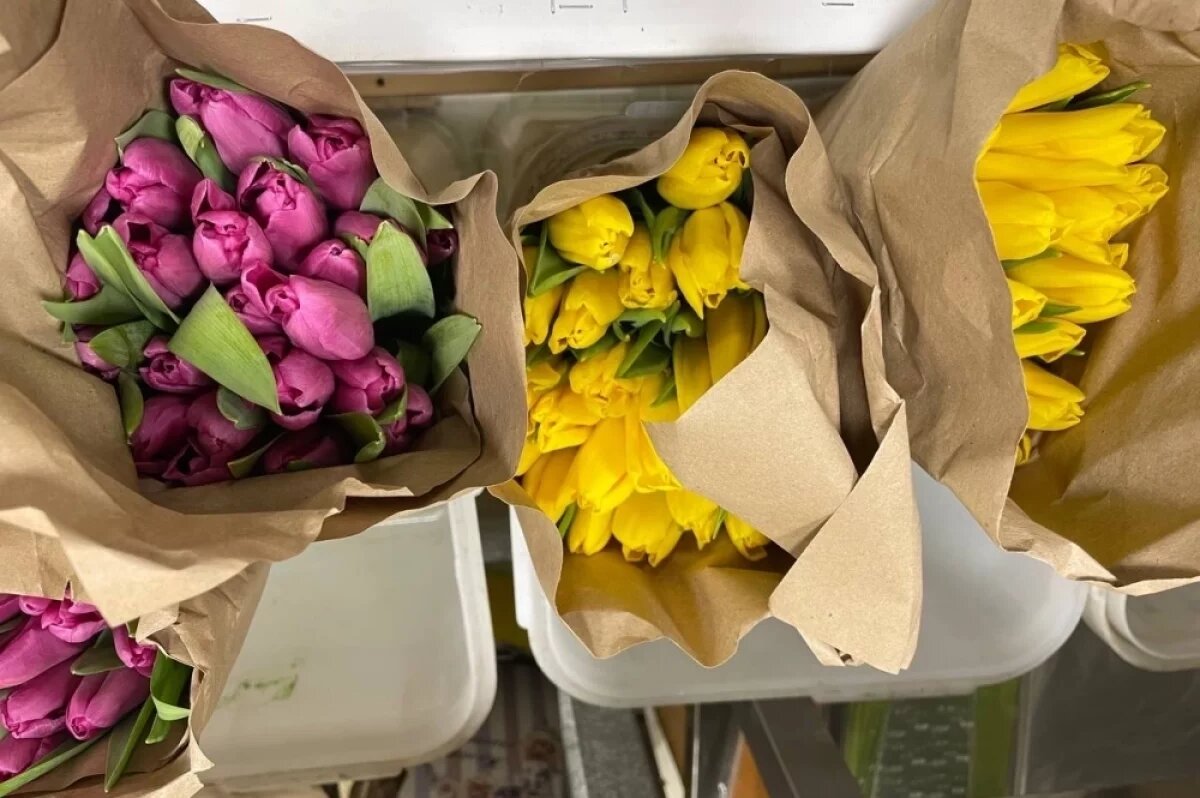    Рустам Минниханов поздравил женщин с 8 Марта