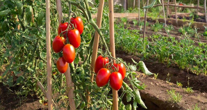    Создано нейросетями