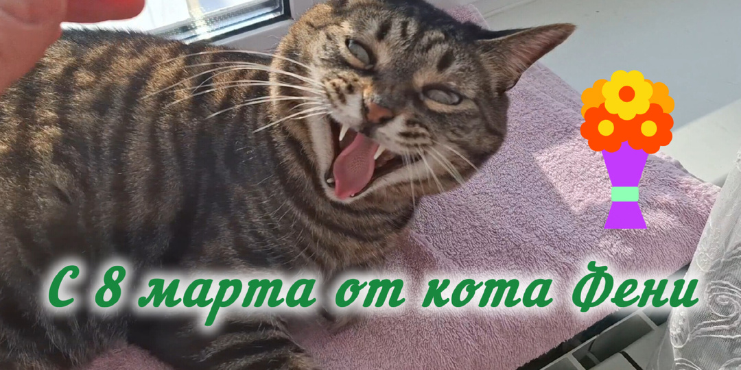 8 марта 2026 год. Воскресенье. С праздником🥰🌹.