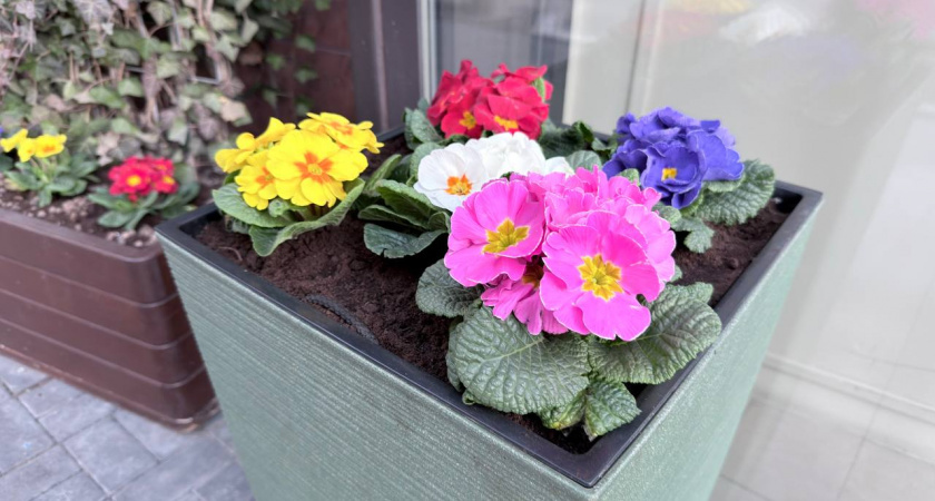    Первый городской канал Калининград