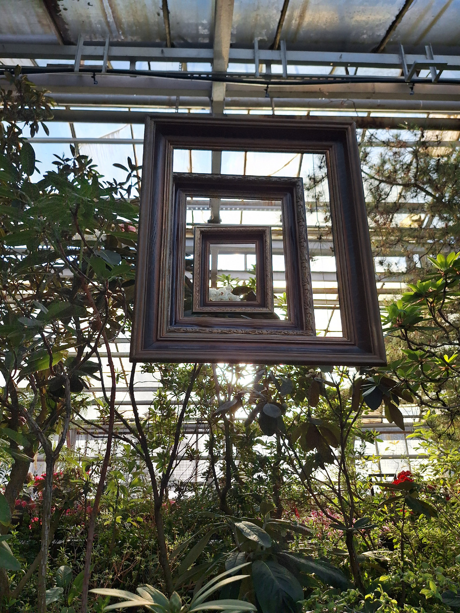 Личное фото. Вид на сад Азалий.