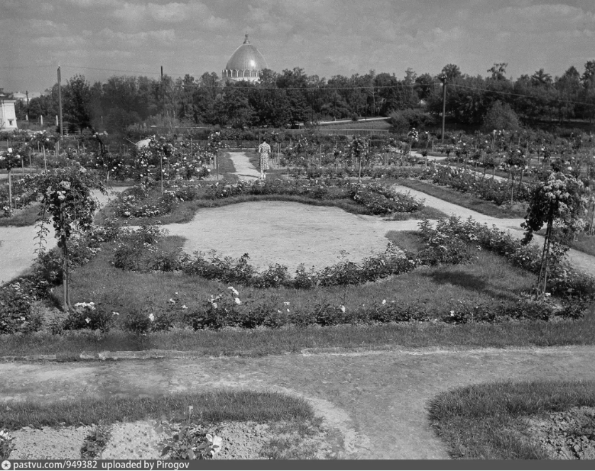 Розарий. Почему-то сейчас он находится за забором.