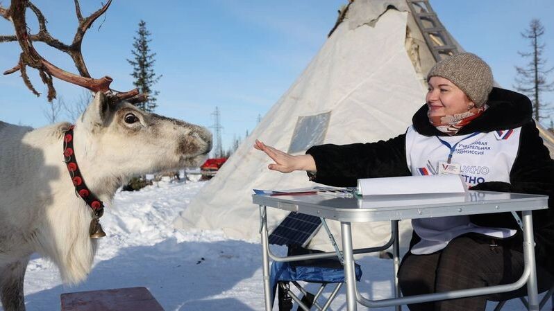    Фото: Андрей Ткачев / «Ямал-Медиа»