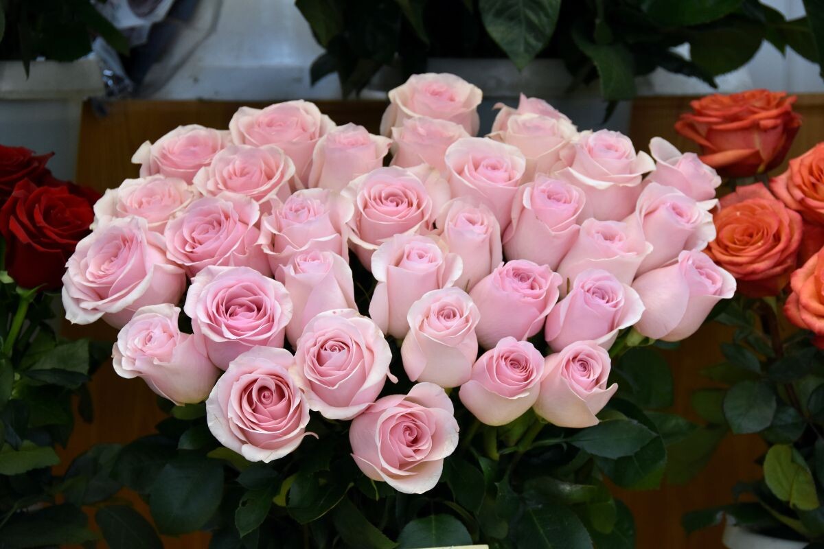    Фото: Александр Зинченко