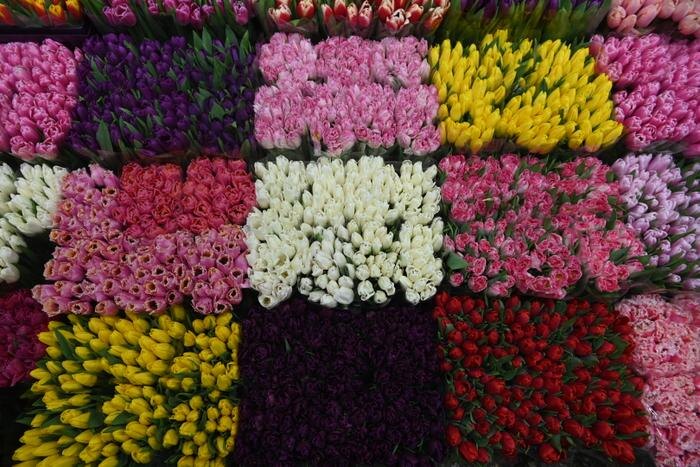 Обложка © Life.ru