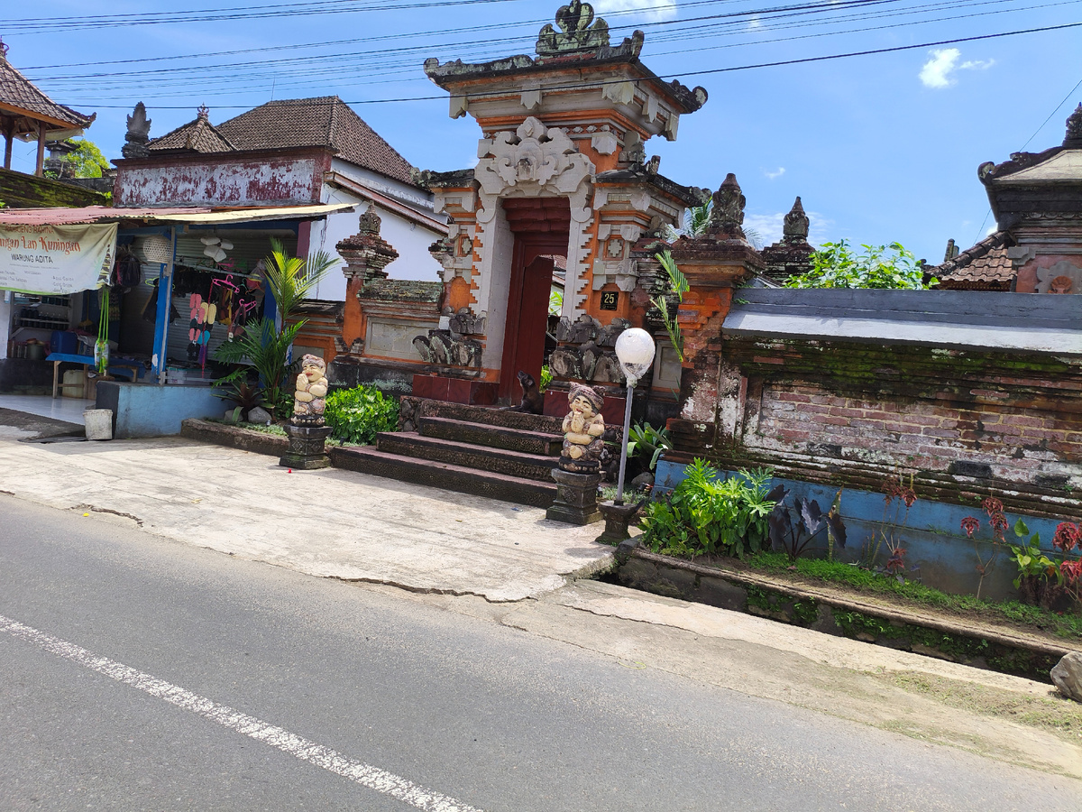 Деревня под Убудом. Фото автора