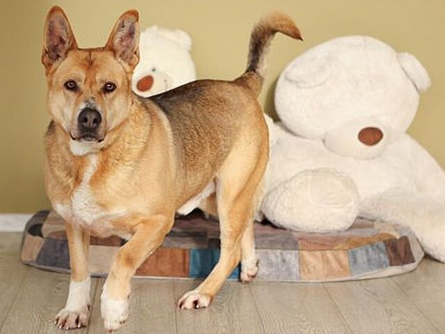    Фото: пресс-служба комплекса городского хозяйства Москвы