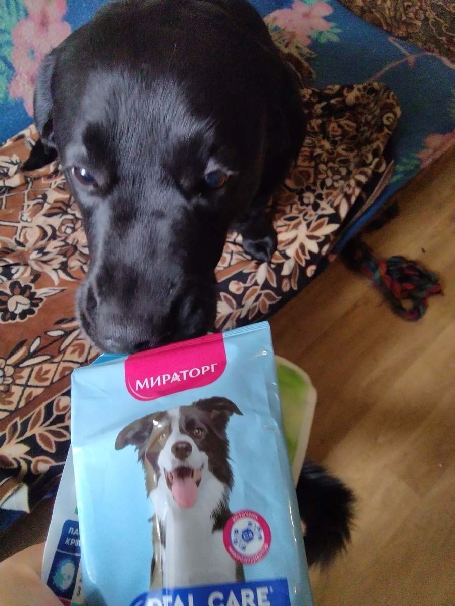 Фото автора.