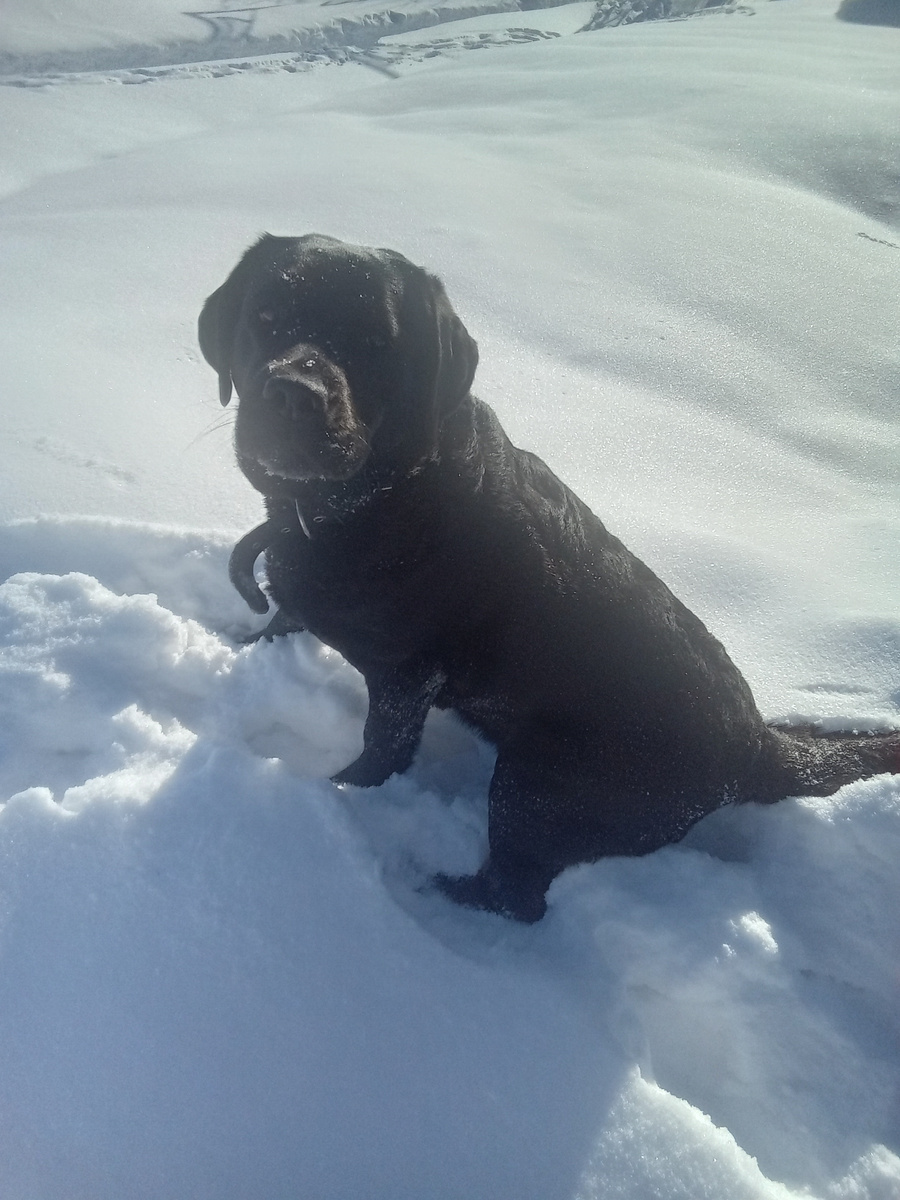 Фото автора. Я на солнышке сижу!