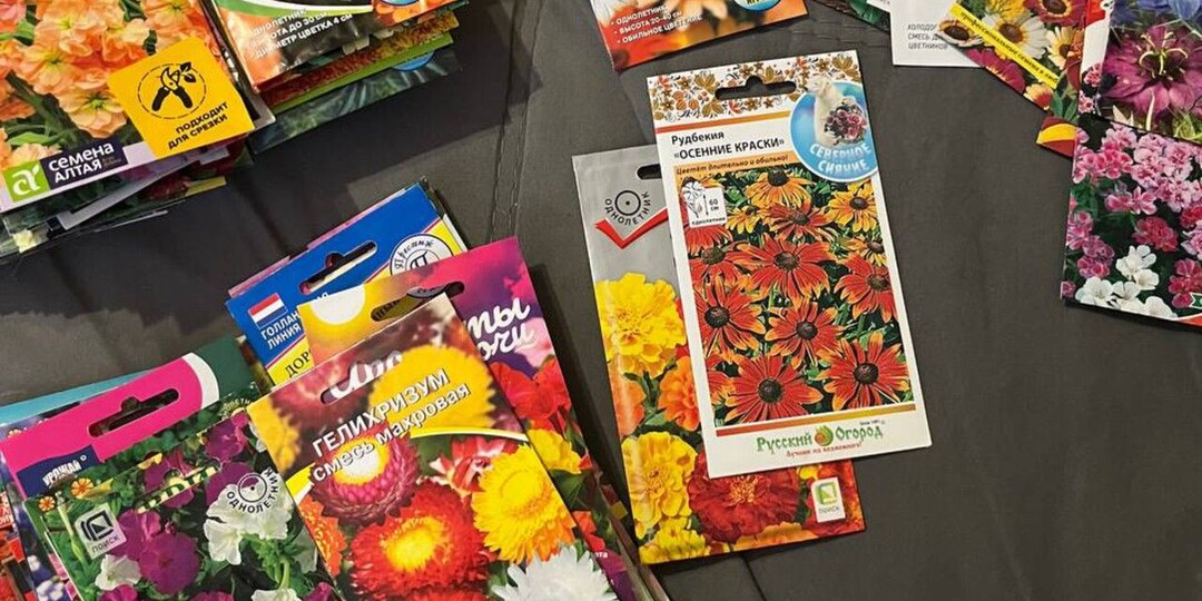 Чем заняться садоводу в огороде и дома в первый месяц весны