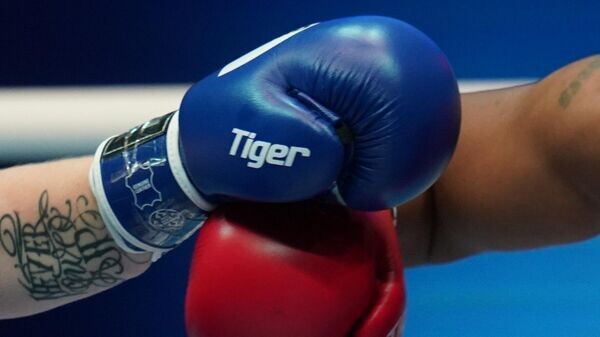    © Sputnik / Евгений Биятов