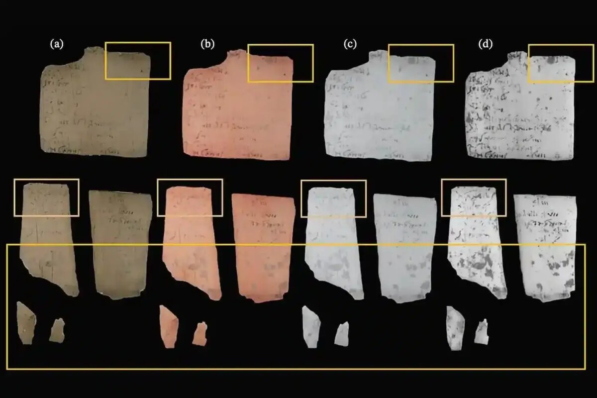    Источник: naked-science.ru Ксения Ситникова