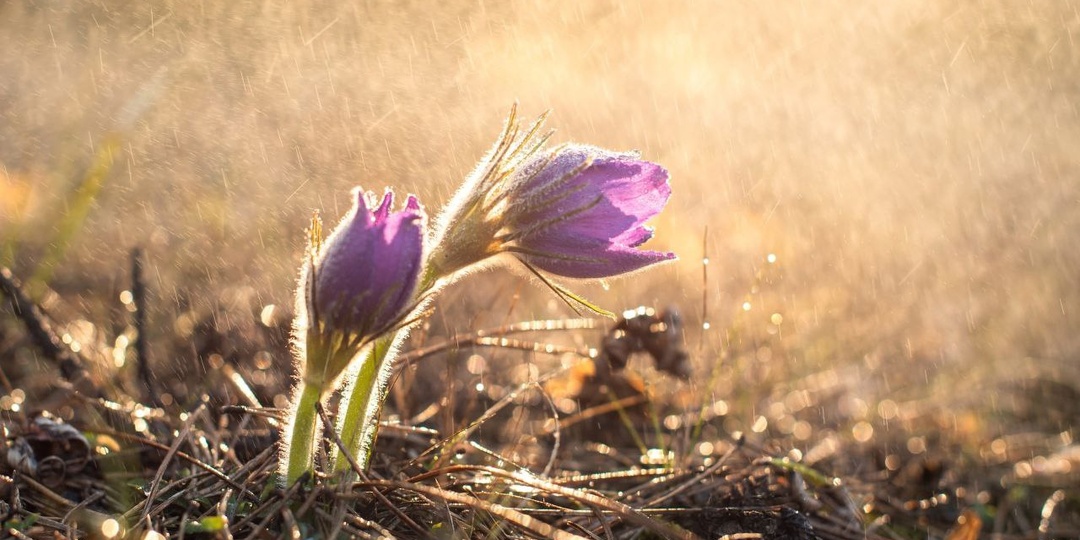 Всех девушек поздравляю с 8 марта