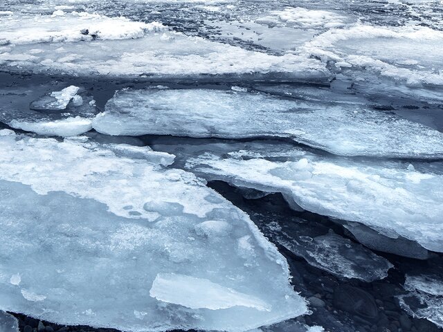    Фото: depositphotos/Anna_Om