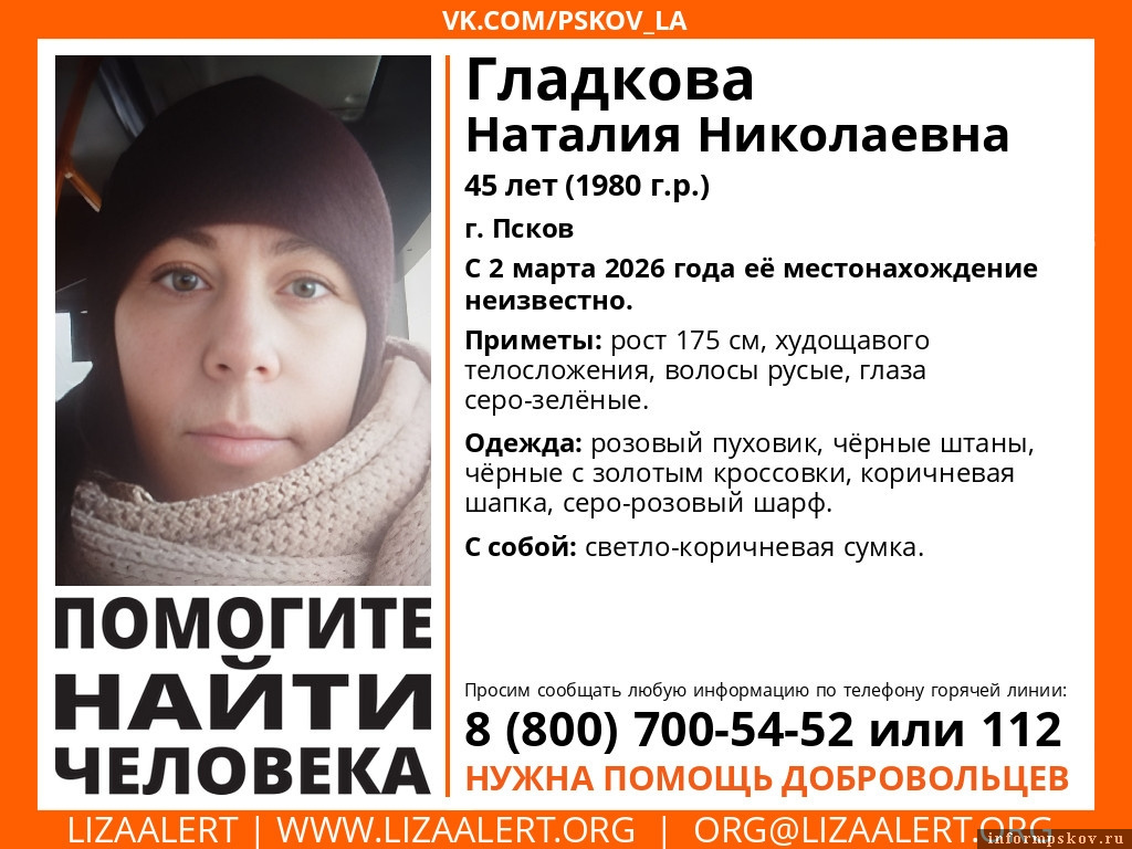 Фото: группа поисково-спасательного отряда «ЛизаАлерт. Псковская область» в соцсети «ВКонтакте»