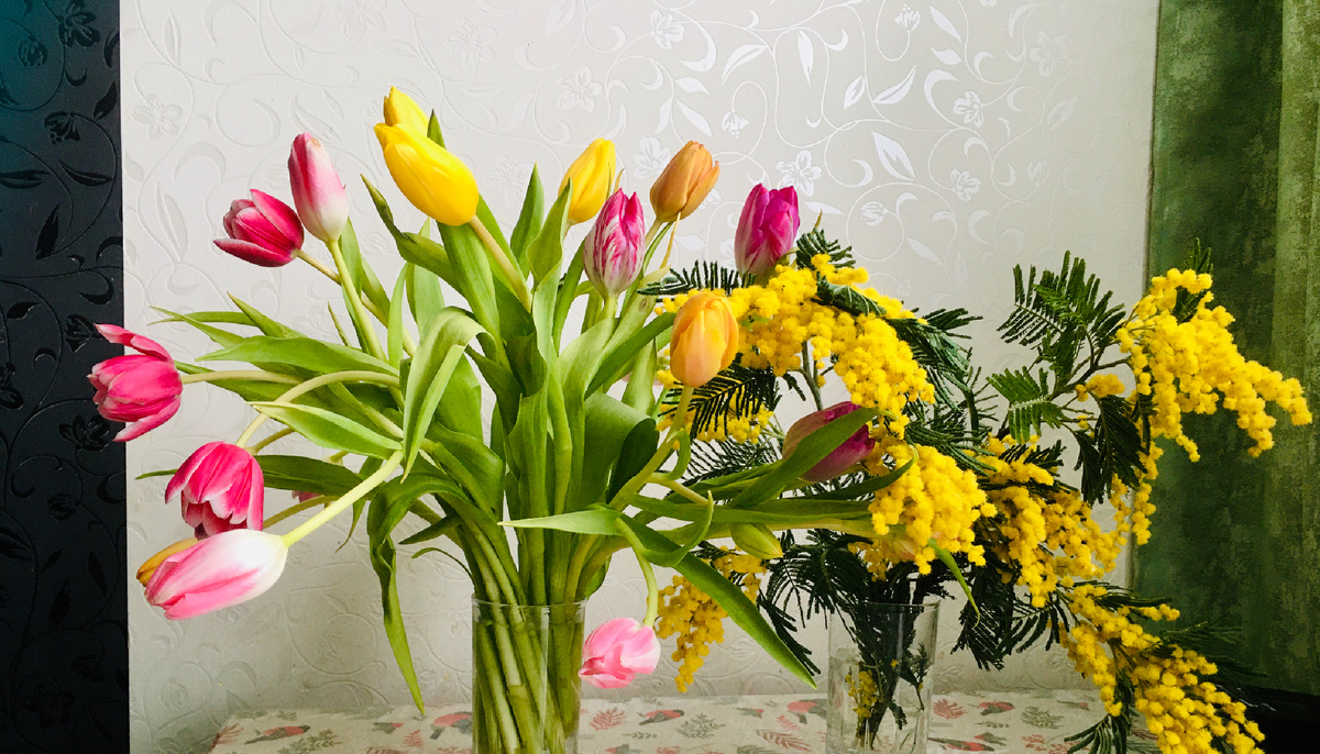 Тюльпаны тоже хороши 