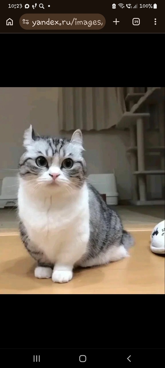 А сейчас выложу видео и ждите итоги конкурса на моем 2 акке 