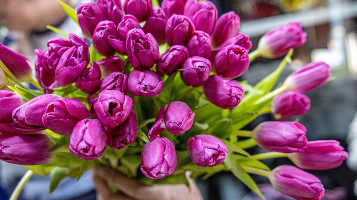    Фото: Юрий Матяш/«Ямал-Медиа»