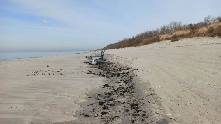 В Калининграде днём установилась довольно теплая весенняя погода, и мы поспешили воспользоваться этими обстоятельствами, чтобы совершить семейную морскую прогулку.

