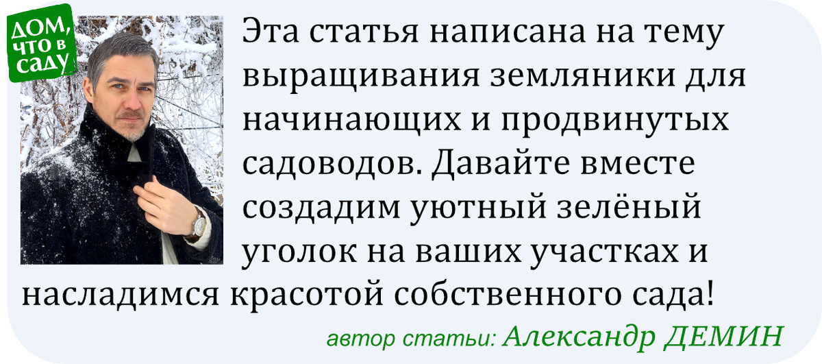 Дом, что в саду
